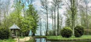 Neulich am See - Von Rütte Gut Neulich am See - Von Rütte Gut