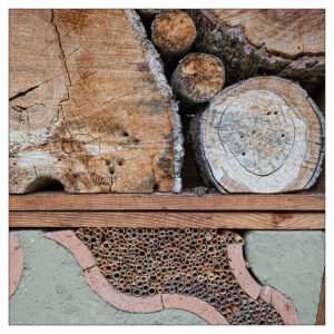 Andreas - Botanischer Garten Bern