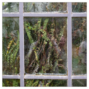 Andreas - Botanischer Garten Bern