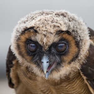 4. Rang, Reinhold Seher, Augenblick