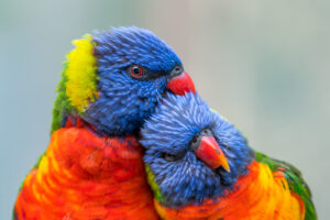 Sylviane Blum - Geborgenheit