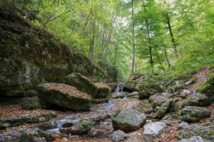 Verena-Schlucht-2_Sylviane-Blum Sylviane Blum