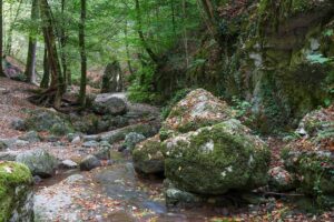 Verena-Schlucht-3_Sylviane-Blum Sylviane Blum