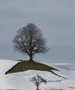 Reinhold Seher, 16 Punkte, Wintermüde