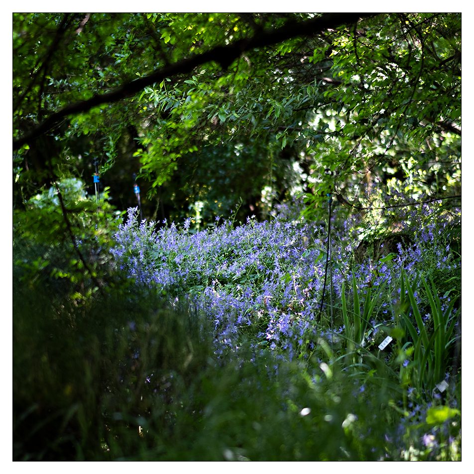 Andreas Hurni, Botanischer Garten Ljubliana, Slovenien