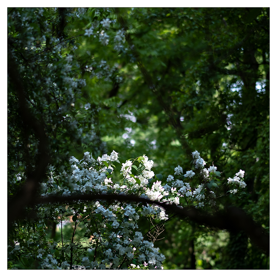 Andreas Hurni, Botanischer Garten Zagreb, Kroatien