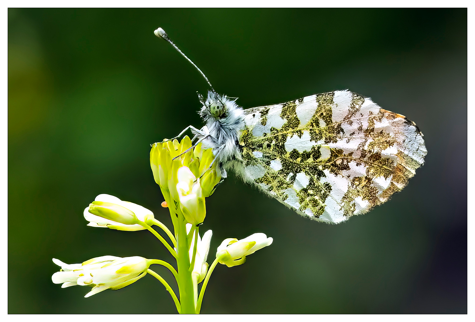 Bild: Daniel Stoelen