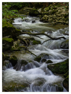 taubenlochschlucht reinhold dynamisches wasser Bild: Reinhold Seher