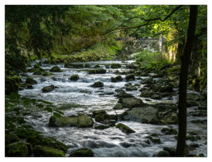 taubenlochschlucht reinhold ein leises lied Bild: Reinhold Seher