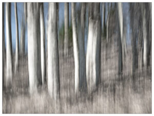 Bild: René Niederberger, ICM-Fotografie