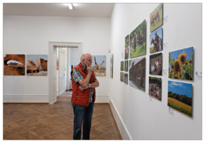 Vernissage 75 Jahre foto-klub biel (Bild: Reinhold Seher)